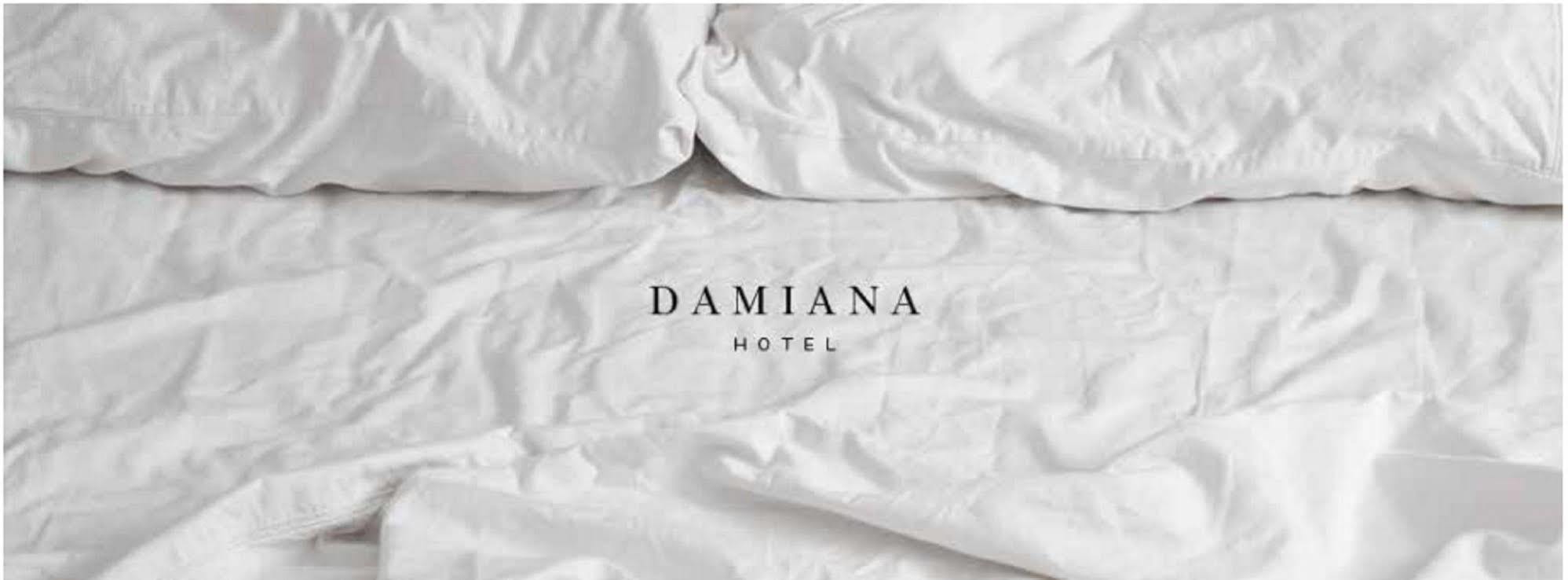Hotel Damiana Boutique Queretaro Exterior photo